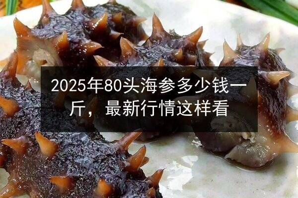 2025年80头海参多少钱一斤，最新行情这样看