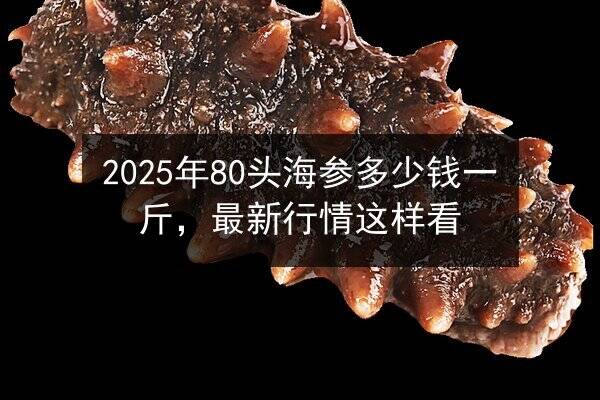 2025年80头海参多少钱一斤，最新行情这样看