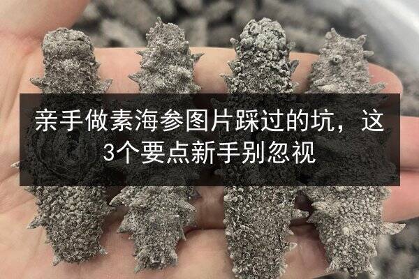 亲手做素海参图片踩过的坑,这3个要点新手别忽视