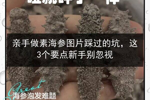 亲手做素海参图片踩过的坑,这3个要点新手别忽视