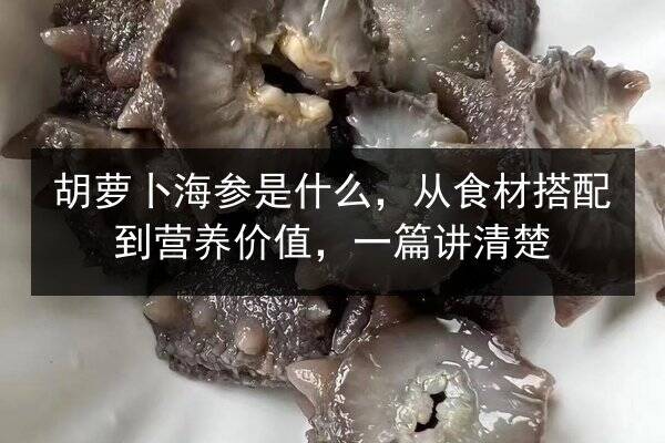 胡萝卜海参是什么,从食材搭配到营养价值,一篇讲清楚