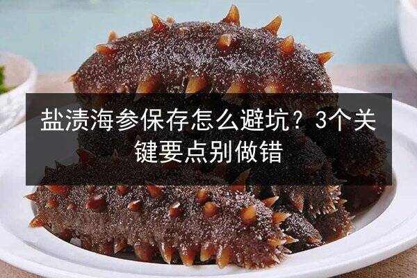盐渍海参保存怎么避坑?3个关键要点别做错