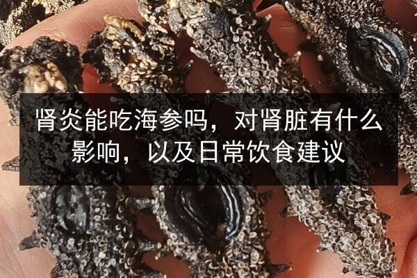 肾炎能吃海参吗，对肾脏有什么影响，以及日常饮食建议