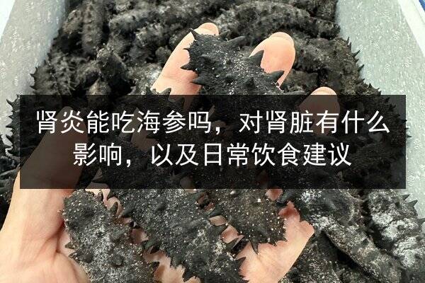 肾炎能吃海参吗，对肾脏有什么影响，以及日常饮食建议