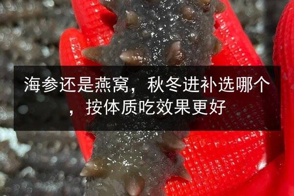 海参还是燕窝，秋冬进补选哪个，按体质吃效果更好