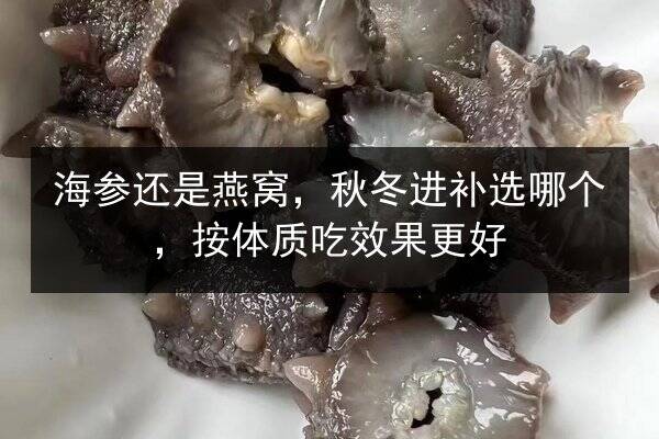 海参还是燕窝，秋冬进补选哪个，按体质吃效果更好