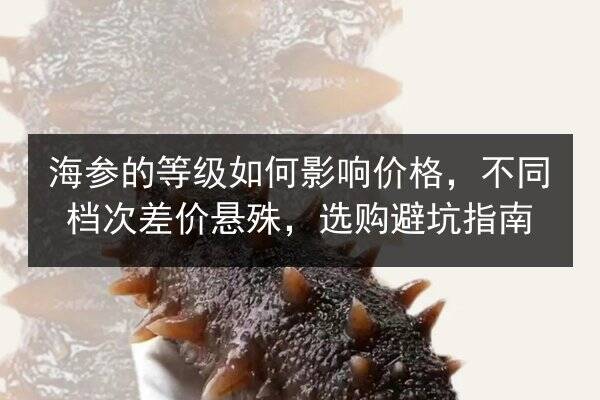 海参的等级如何影响价格，不同档次差价悬殊，选购避坑指南