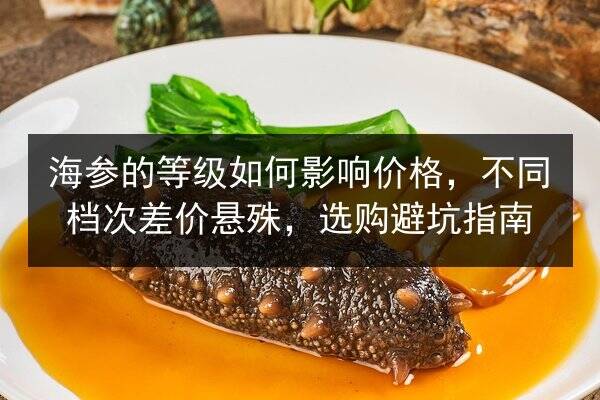 海参的等级如何影响价格，不同档次差价悬殊，选购避坑指南