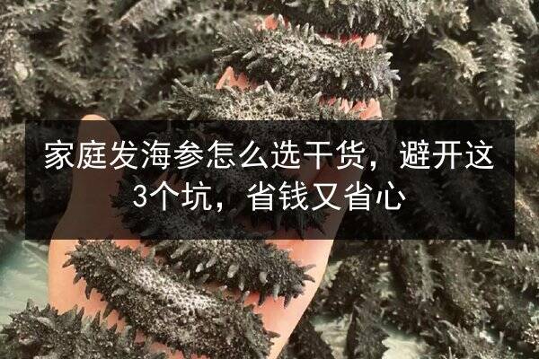 家庭发海参怎么选干货,避开这3个坑,省钱又省心
