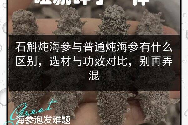 石斛炖海参与普通炖海参有什么区别，选材与功效对比，别再弄混