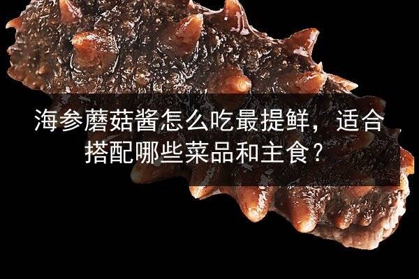 海参蘑菇酱怎么吃最提鲜,适合搭配哪些菜品和主食?