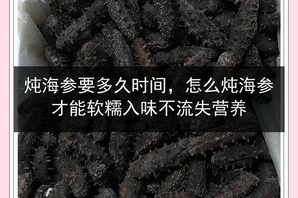 炖海参要多久时间,怎么炖海参才能软糯入味不流失营养