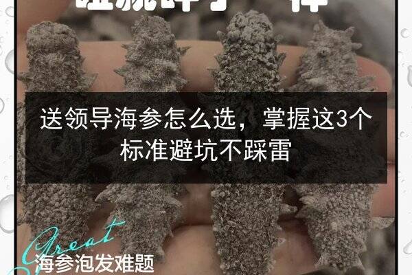 送领导海参怎么选,掌握这3个标准避坑不踩雷