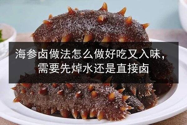 海参卤做法怎么做好吃又入味，需要先焯水还是直接卤