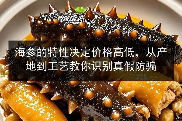 海参的特性决定价格高低,从产地到工艺教你识别真假防骗