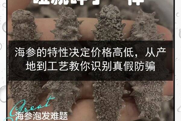 海参的特性决定价格高低,从产地到工艺教你识别真假防骗