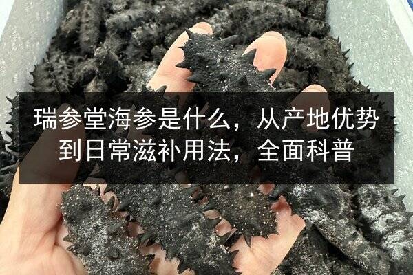 瑞参堂海参是什么,从产地优势到日常滋补用法,全面科普
