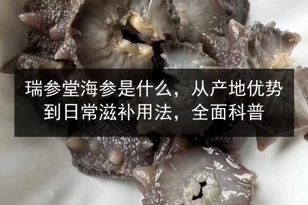 瑞参堂海参是什么,从产地优势到日常滋补用法,全面科普