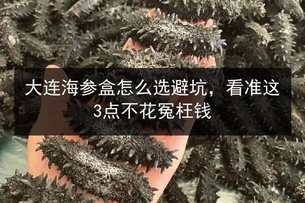 大连海参盒怎么选避坑,看准这3点不花冤枉钱