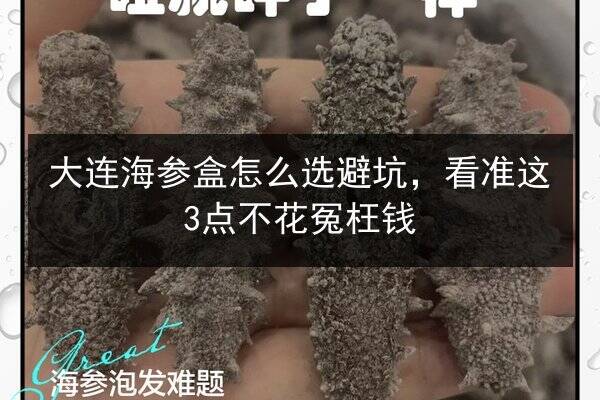 大连海参盒怎么选避坑,看准这3点不花冤枉钱