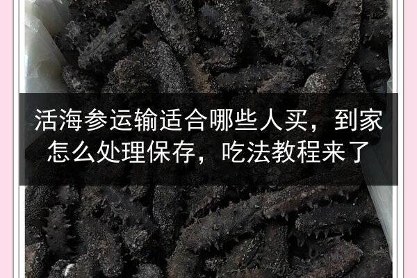 活海参运输适合哪些人买，到家怎么处理保存，吃法教程来了