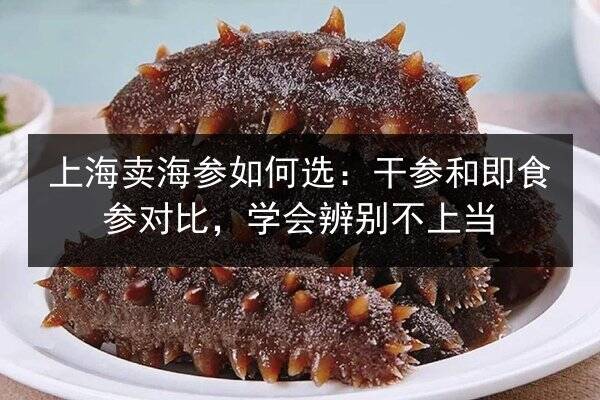 上海卖海参如何选:干参和即食参对比,学会辨别不上当