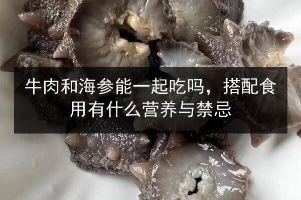 牛肉和海参能一起吃吗，搭配食用有什么营养与禁忌