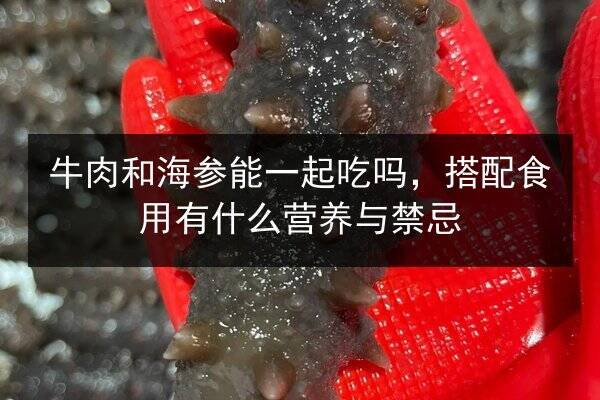 牛肉和海参能一起吃吗，搭配食用有什么营养与禁忌