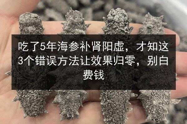 吃了5年海参补肾阳虚，才知这3个错误方法让效果归零，别白费钱