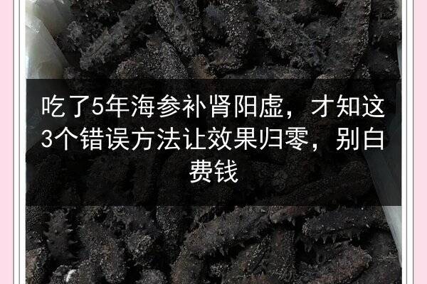 吃了5年海参补肾阳虚，才知这3个错误方法让效果归零，别白费钱