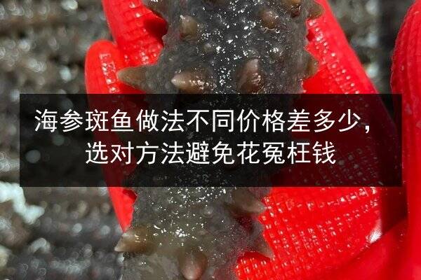 海参斑鱼做法不同价格差多少，选对方法避免花冤枉钱