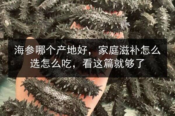 海参哪个产地好,家庭滋补怎么选怎么吃,看这篇就够了