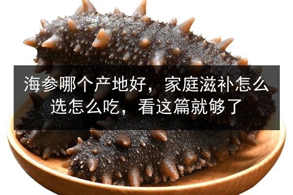 海参哪个产地好,家庭滋补怎么选怎么吃,看这篇就够了
