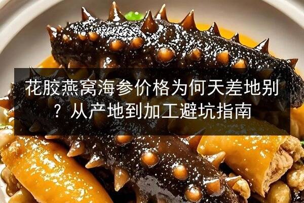 花胶燕窝海参价格为何天差地别？从产地到加工避坑指南