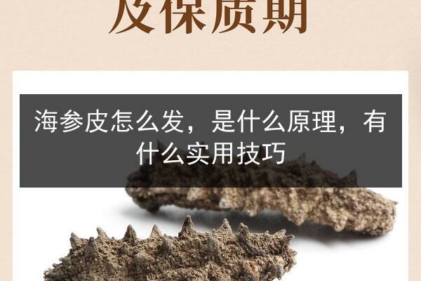海参皮怎么发，是什么原理，有什么实用技巧