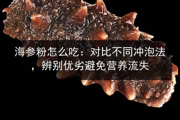 海参粉怎么吃:对比不同冲泡法,辨别优劣避免营养流失