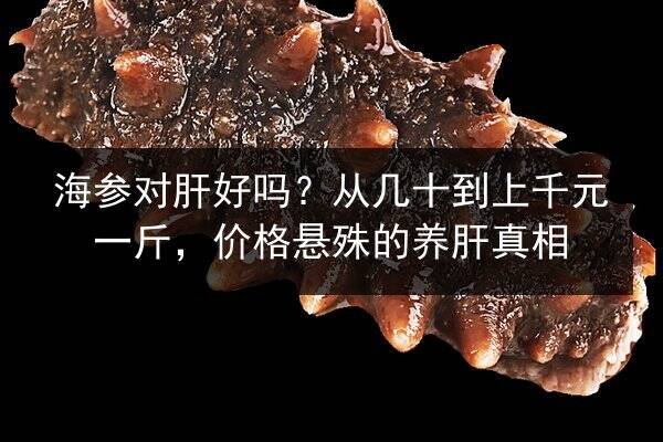 海参对肝好吗?从几十到上千元一斤,价格悬殊的养肝真相