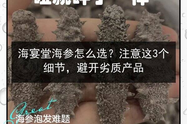 海宴堂海参怎么选？注意这3个细节，避开劣质产品