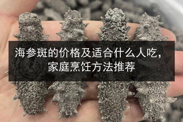 海参斑的价格及适合什么人吃,家庭烹饪方法推荐