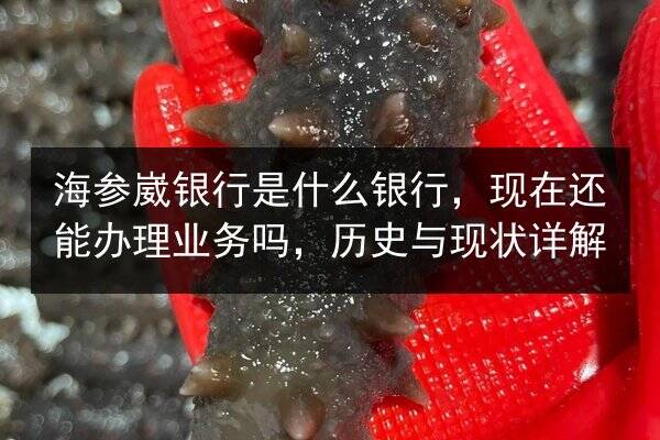 海参崴银行是什么银行，现在还能办理业务吗，历史与现状详解