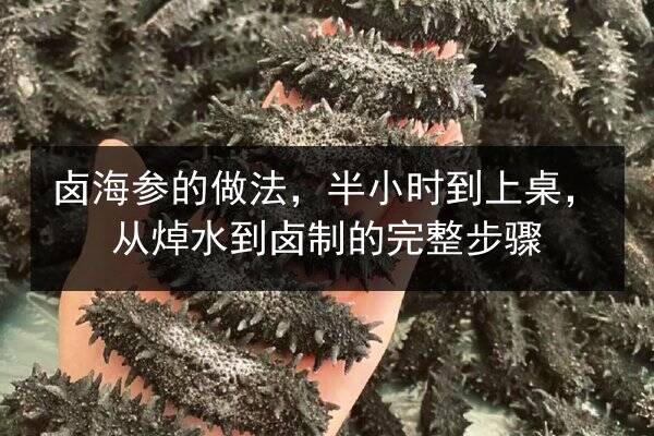 卤海参的做法，半小时到上桌，从焯水到卤制的完整步骤