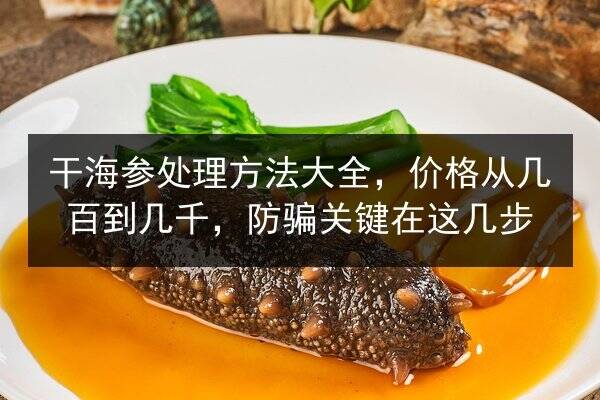 干海参处理方法大全,价格从几百到几千,防骗关键在这几步