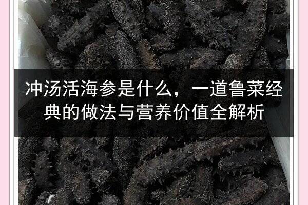 冲汤活海参是什么,一道鲁菜经典的做法与营养价值全解析