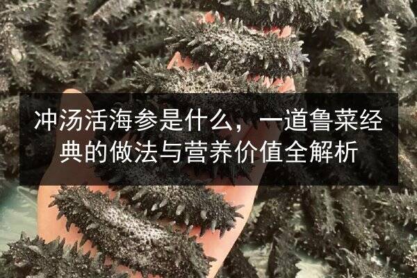 冲汤活海参是什么,一道鲁菜经典的做法与营养价值全解析