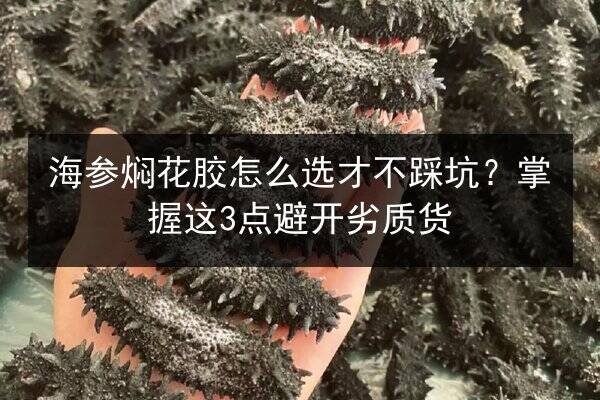 海参焖花胶怎么选才不踩坑？掌握这3点避开劣质货