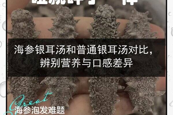 海参银耳汤和普通银耳汤对比，辨别营养与口感差异