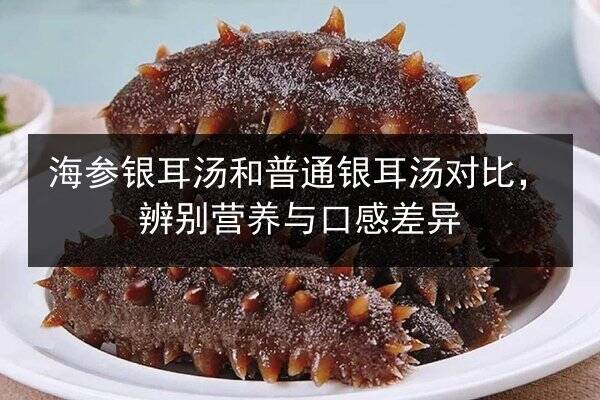 海参银耳汤和普通银耳汤对比，辨别营养与口感差异