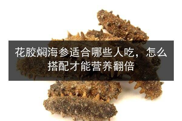 花胶焖海参适合哪些人吃,怎么搭配才能营养翻倍