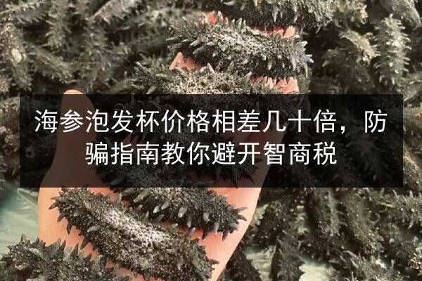 海参泡发杯价格相差几十倍，防骗指南教你避开智商税