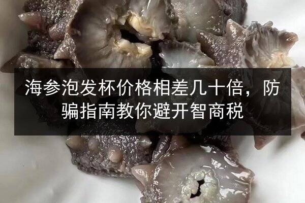 海参泡发杯价格相差几十倍，防骗指南教你避开智商税
